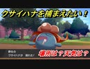 ポケモン剣盾　クサイハナを捕まえる方法！オススメの場所は？天気は？ポケモン図鑑コンプへの道！　【ポケモンソード・シールド】