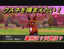 ポケモン剣盾　クスネを捕まえる方法！オススメの場所は？天気は？ポケモン図鑑コンプへの道！　【ポケモンソード・シールド】