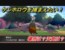 ポケモン剣盾　ケンホロウを捕まえる方法！オススメの場所は？天気は？ポケモン図鑑コンプへの道！　【ポケモンソード・シールド】
