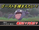 ポケモン剣盾　ゴーストを捕まえる方法！オススメの場所は？天気は？ポケモン図鑑コンプへの道！　【ポケモンソード・シールド】