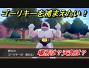 ポケモン剣盾　ゴーリキーを捕まえる方法！オススメの場所は？天気は？ポケモン図鑑コンプへの道！　【ポケモンソード・シールド】
