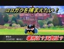 ポケモン剣盾　ココガラを捕まえる方法！オススメの場所は？天気は？ポケモン図鑑コンプへの道！　【ポケモンソード・シールド】