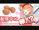 小鳥遊キアラ、配信中に卵を産んでしまう！？【小鳥遊キアラ/ホロライブEN】