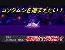 ポケモン剣盾　コソクムシを捕まえる方法！オススメの場所は？天気は？ポケモン図鑑コンプへの道！　【ポケモンソード・シールド】