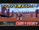 ポケモン剣盾　コマタナを捕まえる方法！オススメの場所は？天気は？ポケモン図鑑コンプへの道！　【ポケモンソード・シールド】