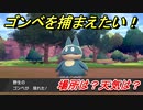 ポケモン剣盾　ゴンベを捕まえる方法！オススメの場所は？天気は？ポケモン図鑑コンプへの道！　【ポケモンソード・シールド】