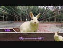 『クトゥルフ』奇妙な動物園part3