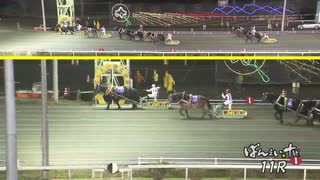 2020年11月22日帯広競馬11R オータムカップ(OP-1) オレノココロ