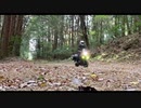 茨城県の林道走ってみた。