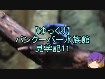 【ゆっくり】バンクーバー水族館見学記11/13