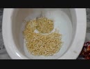 アナと雪の女王のお菓子をトイレに流してみた