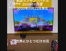 #Joysound#全国ランキングバトル#2020年11月度#2020年11月22日現在