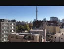 家族で時事放談ｗ　82日目　朝焼けの東京スカイツリー