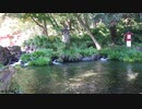 静岡県 富士山本宮浅間大社　～湧玉池～