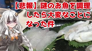 【謎魚を捌く！（失敗）】家事初心者の多分美味しい料理 #5