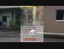 1103兆3543億って鳴く犬