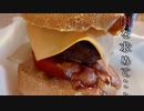 SV650でハンバーガーを食べに行く