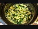 野辺富三、今日の昼メシ。菜飯（なめし）