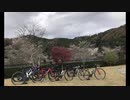 【ロードバイク車載】気ままにらいどーん～ 愛知式ゆるポタ・紅葉＆四季桜GR～