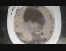 砂をトイレに流してみた
