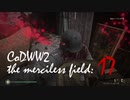 CoDWWⅡ the merciless field: 17