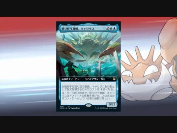 マジックカメックスP その５