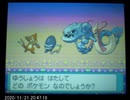 【ポケモンPtコンテストプレイ動画】愛情個体27体マスターリボンコンプ！part 06 ミロカロス