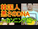 ゆっくり雑談 294回目(2020/11/24)