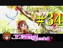 【姉弟で実況】PS「アンジェリークspecial2」弟が宇宙を育てる初見プレイ　#34