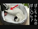 カズヤチャンネルを見よう！　その１
