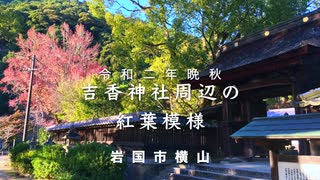 令和二年初冬　岩國藩主を祀る〜吉香神社と周辺の紅葉　　　山口県岩国市（吉香公園内）