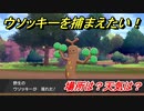 ポケモン剣盾　ウソッキーを捕まえる方法！オススメの場所は？天気は？ポケモン図鑑コンプへの道！　【ポケモンソード・シールド】