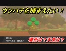 ポケモン剣盾　ウソハチを捕まえる方法！オススメの場所は？天気は？ポケモン図鑑コンプへの道！　【ポケモンソード・シールド】