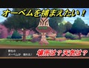 ポケモン剣盾　オーベムを捕まえる方法！オススメの場所は？天気は？ポケモン図鑑コンプへの道！　【ポケモンソード・シールド】