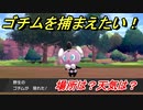 ポケモン剣盾　ゴチムを捕まえる方法！オススメの場所は？天気は？ポケモン図鑑コンプへの道！　【ポケモンソード・シールド】