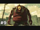 【ゆっくり実況】100年前のハイラルで無双するPart9【ゼルダ無双厄災の黙示録】