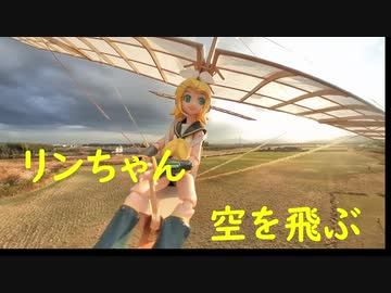 リンちゃん空を飛ぶ