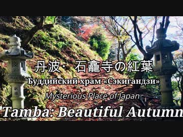 日本の秘境・丹波の紅葉：石龕寺「赤の絨毯を歩く」