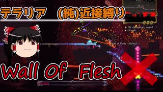 人気の ﾃﾗﾘｱ 動画 10 321本 11 ニコニコ動画