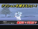 ポケモン剣盾　クマシュンを捕まえる方法！オススメの場所は？天気は？ポケモン図鑑コンプへの道！　【ポケモンソード・シールド】