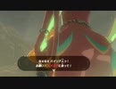 依頼を受けて、ゾーラ女子を雷の台地に運んでみた