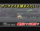 ポケモン剣盾　サシカマスを捕まえる方法！オススメの場所は？天気は？ポケモン図鑑コンプへの道！　【ポケモンソード・シールド】