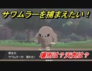 ポケモン剣盾　サワムラーを捕まえる方法！オススメの場所は？天気は？ポケモン図鑑コンプへの道！　【ポケモンソード・シールド】