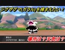 ポケモン剣盾　ジグザグマ（ガラル）を捕まえる方法！オススメの場所は？天気は？ポケモン図鑑コンプへの道！　【ポケモンソード・シールド】