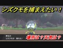 ポケモン剣盾　シズクモを捕まえる方法！オススメの場所は？天気は？ポケモン図鑑コンプへの道！　【ポケモンソード・シールド】