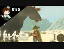 【実況】マスターモードでやりこみサバイバル生活！！　Part85 【ゼルダの伝説　BotW】