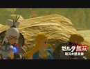 [初見] ゼルダ無双厄災の黙示録 一応実況プレイかも！ 第4回 -1/2
