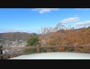 gopro９車載テスト「馬と鹿」天気が良かったので　