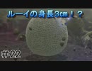 初心者実況者が新たな食料を求めて大冒険　ピクミン３DX　＃22