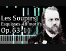 【アルカン】48のモチーフ集ーエスキス第1巻第11番 - ため息 - Op.63-11 -【Synthesia/Alkan/Les soupirs/Esquisses-48 motifs】